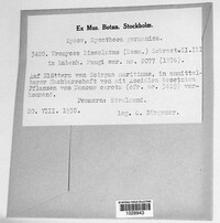 Image Associated With the Occurence